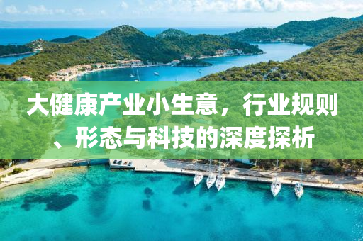 大健康產業小生意，行業規則、形態與科技的深度探析